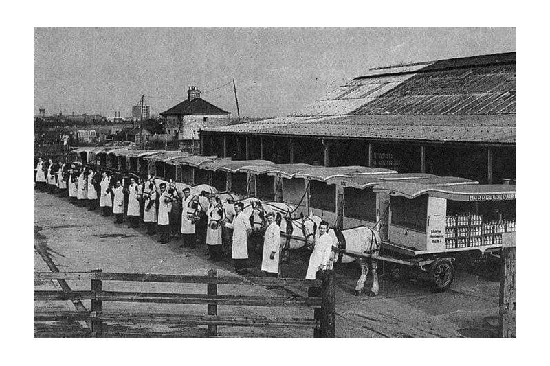 Early morning at the milk depot 1930's